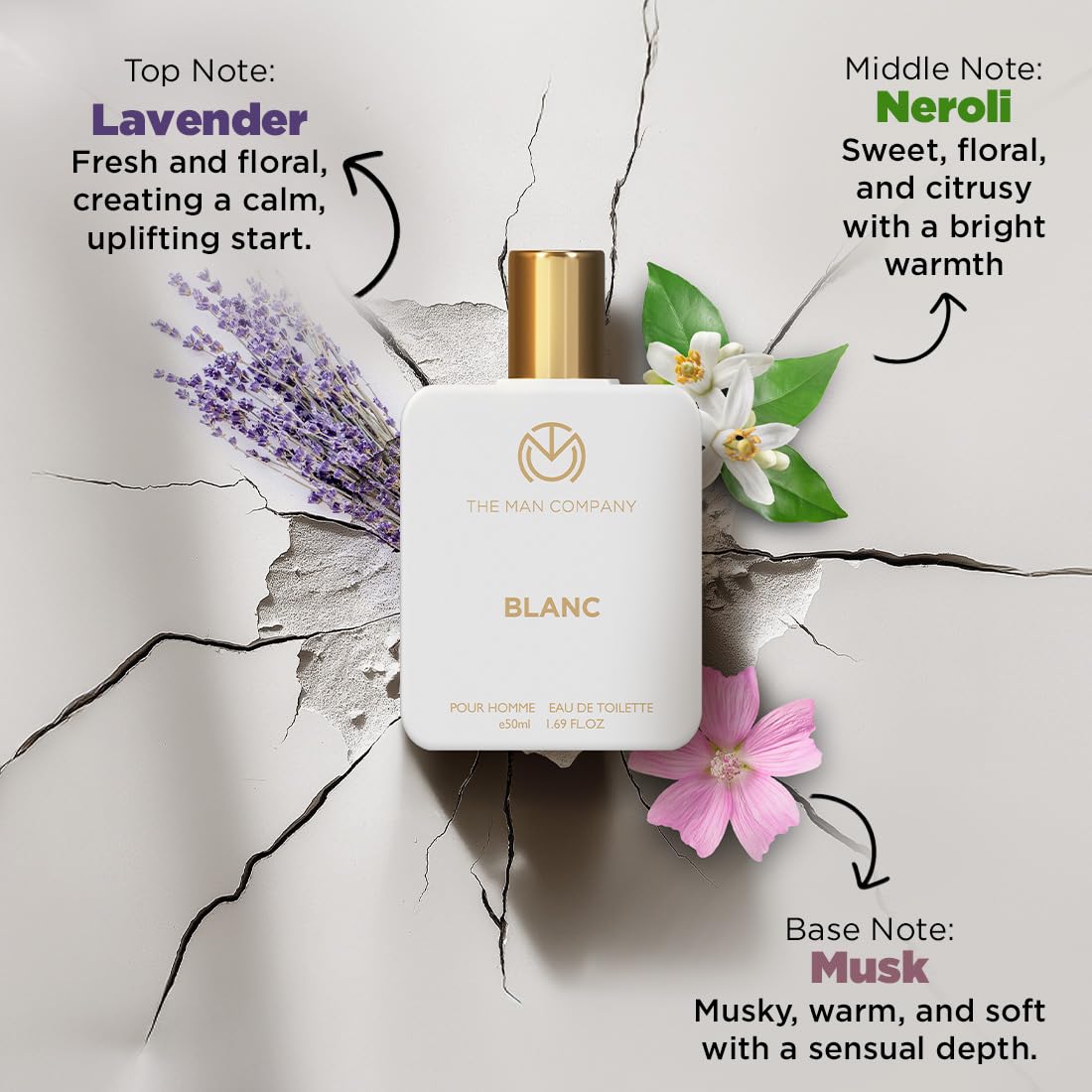 The Man Company Blanc Edt Perfume - Musk, Citrusy & Aromatic Scent For Men