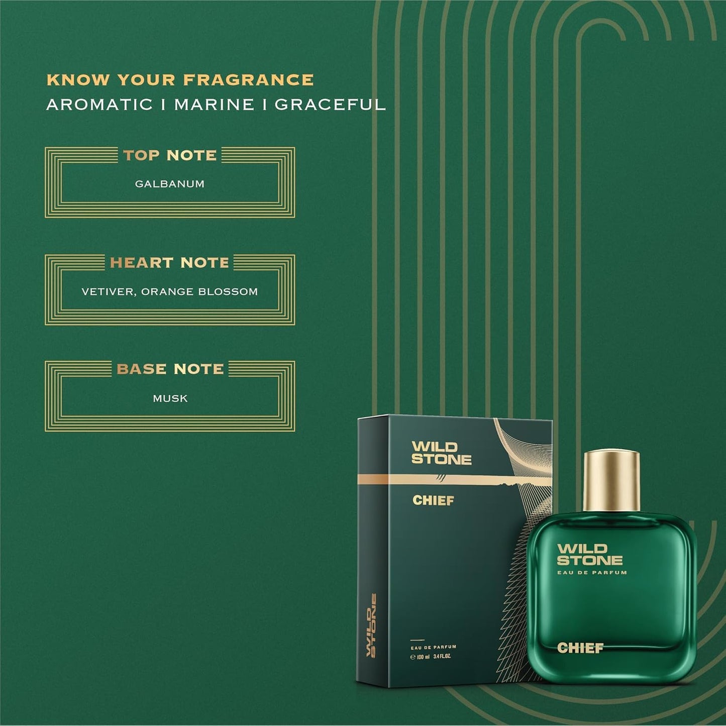 Wild Stone Chief Perfume for Men, 100ml Luxury Eau De Parfum