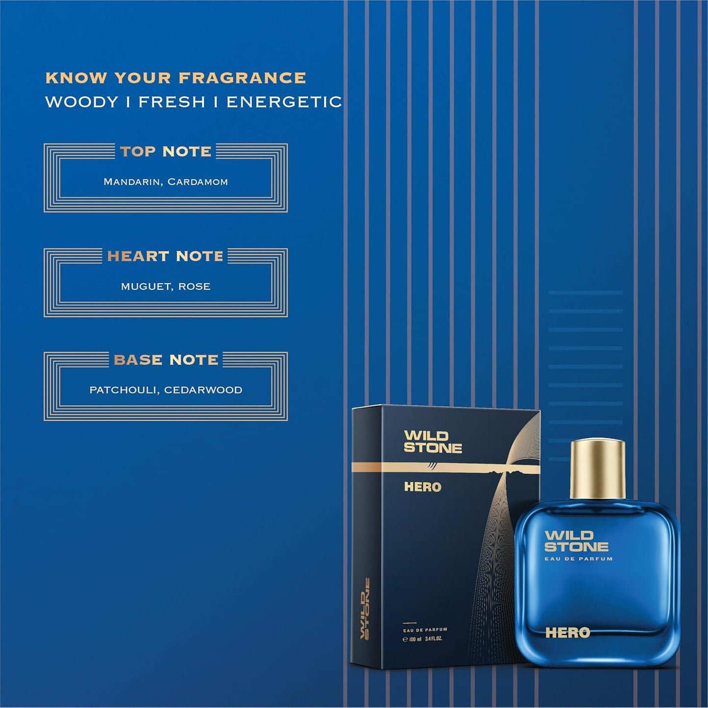 Wild Stone Hero Perfume for Men, 100ml Luxury Eau De Parfum Long-Lasting Fragrance