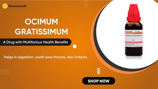 Ocimum gratissimum – A Drug with Multifarious Health Benefits