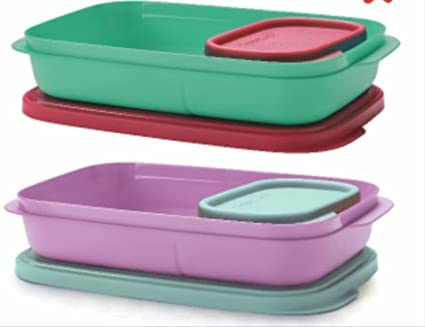 Tupperware Plastic Lunch Box 590 ml Pack of 2 with 4 Container COLOR MAY VARY