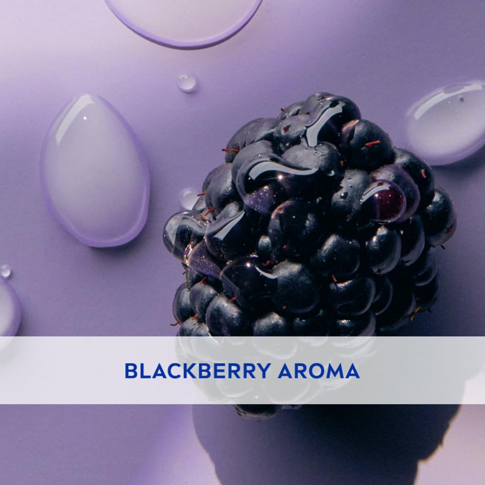 NIVEA Lip Balm Fruity Berry Shine  Purple 4.8gm