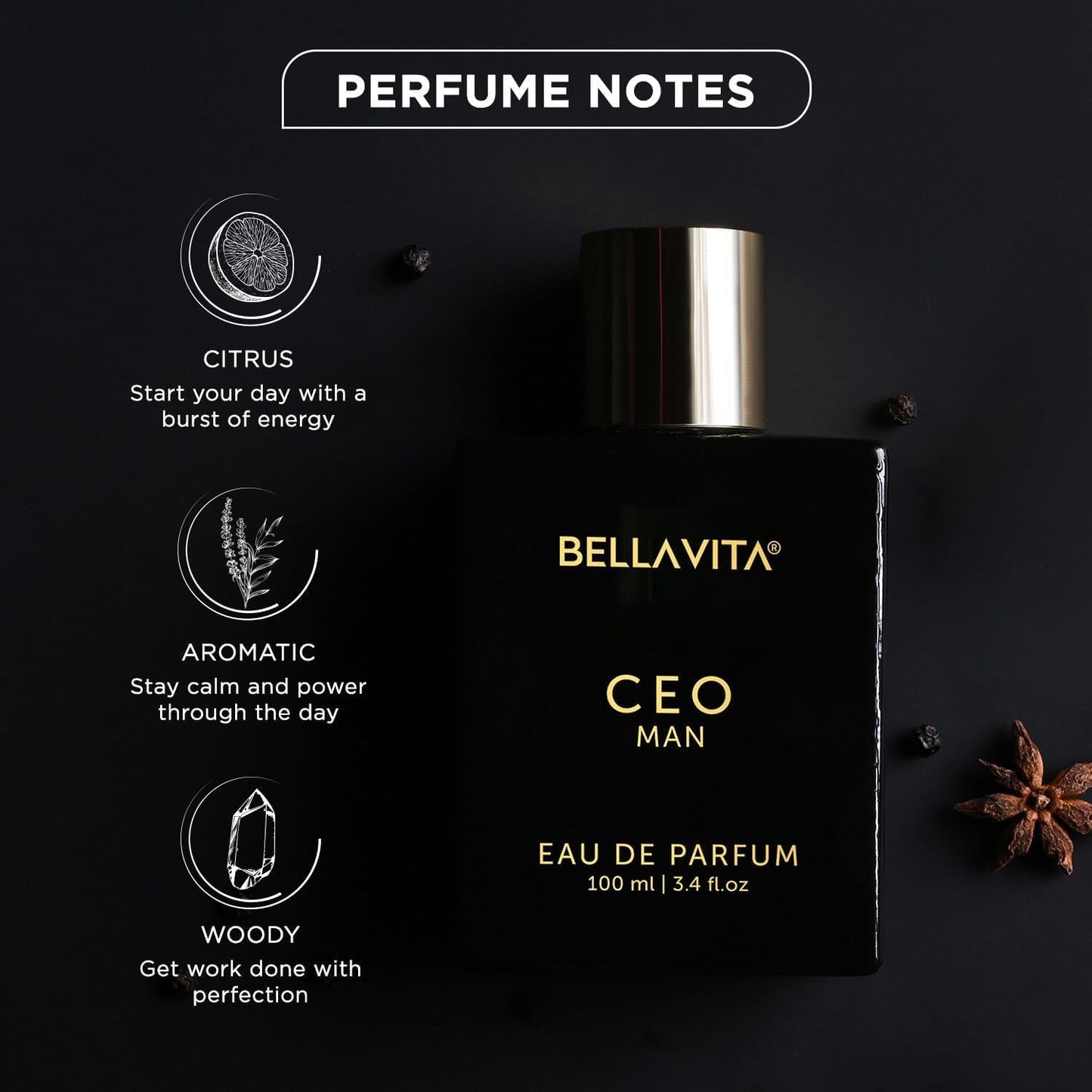 Bella Vita Luxury CEO MEN Long Lasting Perfume for Man EDP 100ml