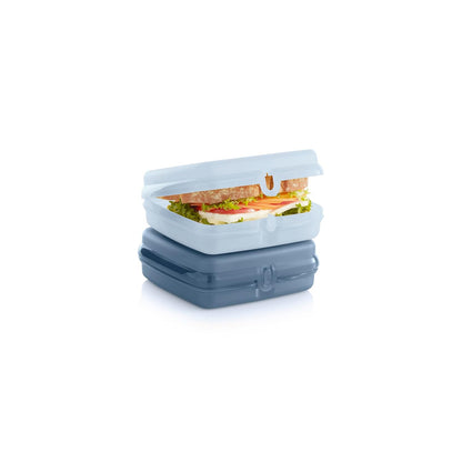 Tupperware Polypropylene Sandwich Keeper 2-Container Set COLOR MAY VARY