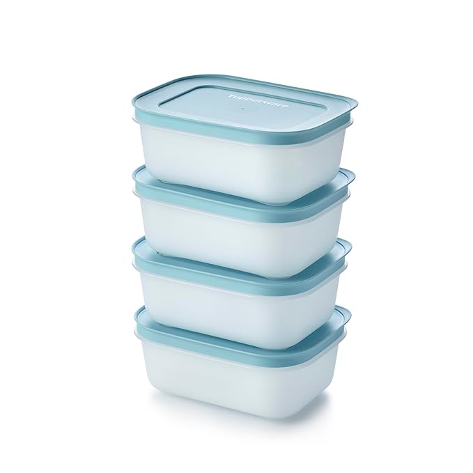 Tupperware Plastic Essentials Freezer Mates Shallow 4 Piece Container Set - 450Ml  COLOR MAY VARY