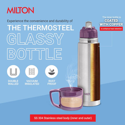 Milton Glassy 500 Thermosteel Vacuum Insulated Double Walled Flask with Drinking Cup 500 ml