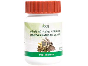 Patanjali DIVYA SANJEEVANI VATI 40 GM
