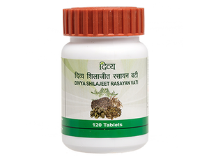 PATANJALI DIVYA SHILAJEET RASAYAN VATI 40 GM