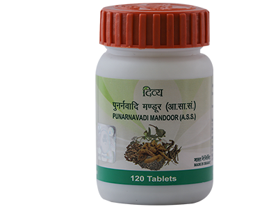 PATANJALI DIVYA PUNARNAVADI MANDOOR - 120 TAB 40 GM