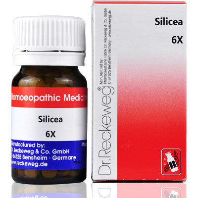 Dr. Reckeweg Silicea 6X Biochemic Tablet (20g)