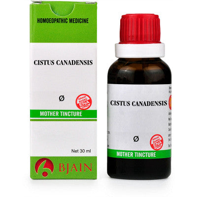 B Jain Cistus Canadensis Mother Tincture Q (30ml)