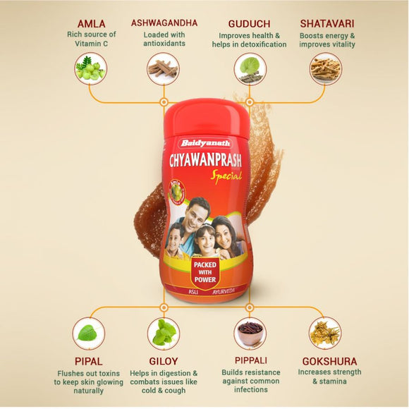 Baidyanath Chyawanprash Special - Immunity Booster For OmniProtection Of Adults & Kids | Enriched With 52 Ayurvedic Ingredients - 2Kg