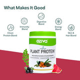 OZiva Superfood Plant Protein (Protein for Beginners with 20g of Complete Protein Powder, Essential Vitamins & Minerals) for Boosting Immunity, Energy & Better Digestion, Melon, 250g
