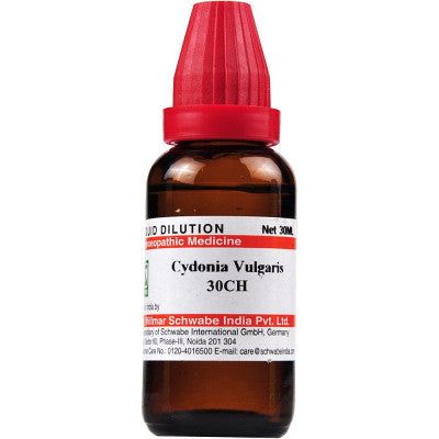 Willmar Schwabe India Cydonia Vulgaris 1000 CH (30ml)