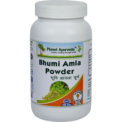 Planet Ayurveda Bhumi Amla Powder (100g, Pack of 2)