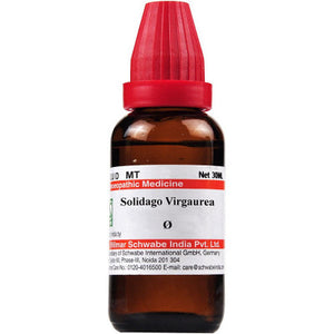 Willmar Schwabe India Solidago Virgaurea Mother Tincture 1X (Q) (30ml)