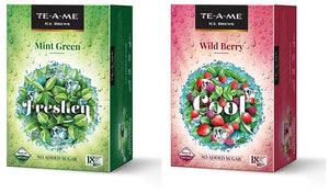 TE-A-ME Ice Brews Cold Brew Ice Infusion, Wild Berry, 18 Pyramid Infusion Bags - Ice Brews Cold Brew Ice Tea, Green Mint, 18 Pyramid Bags