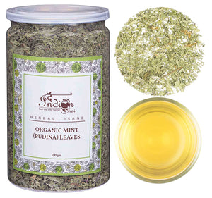 The Indian Chai - Organic Mint Tea (Pudina) Leaves 100g